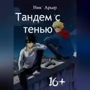 Постер книги Тандем с тенью