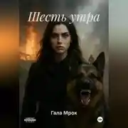 Постер книги Шесть утра