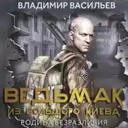 Постер книги Ведьмак из Большого Киева. Родина безразличия