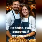 Постер книги Новелла. Наш секретный ингредиент.