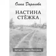 Постер книги Настина стёжка