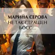Постер книги Не так страшен босс…
