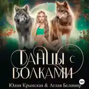 Постер книги Танцы с волками