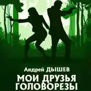 Постер книги Мои друзья головорезы