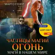 Постер книги Частицы магии. Огонь. Маги в нашем мире