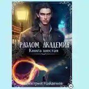 Постер книги Разлом. Академия. Книга шестая