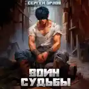 Постер книги Воин Судьбы