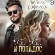 Постер книги Биг Босс и попадос