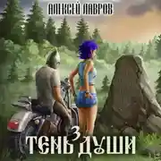 Постер книги Тень души 3