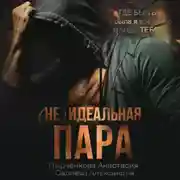Постер книги (не) идеальная пара