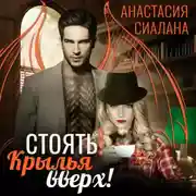 Постер книги Стоять! Крылья вверх!