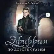 Постер книги Эфиррия. По дороге судьбы