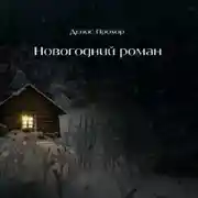 Постер книги Новогодний роман