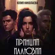 Постер книги Принцип иллюзии