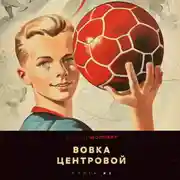 Постер книги Вовка-центровой 3