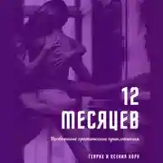 Постер книги 12 месяцев. Необычные эротические приключения