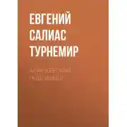 Постер книги Аракчеевский подкидыш