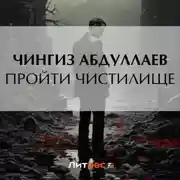 Постер книги Пройти чистилище