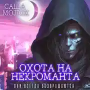 Постер книги Охота на некроманта