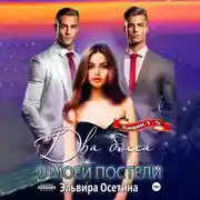 Постер книги Два босса в моей постели. Серии 1–5