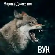 Постер книги Вук