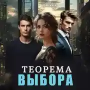 Постер книги Теорема выбора