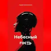 Постер книги Небесный гость