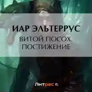 Постер книги Витой Посох. Постижение