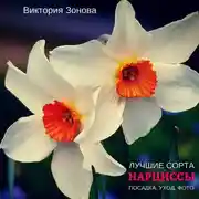 Постер книги Нарциссы. Лучшие сорта