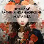 Постер книги Наташа