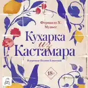 Постер книги Кухарка из Кастамара
