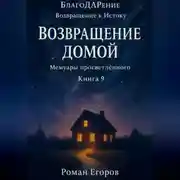 Постер книги «Возвращение домой»