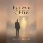 Постер книги Встреть себя