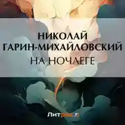 Постер книги На ночлеге