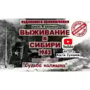 Постер книги Судьба калмыка. Том 4