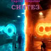 Постер книги Синтез