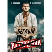 Постер книги Беглый