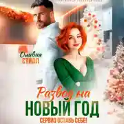 Постер книги Развод на Новый год. Сервиз оставь себе!
