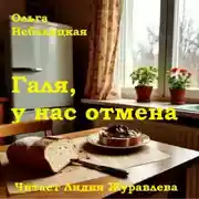 Постер книги Ольга Небелицкая Галя, у нас отмена