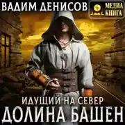 Постер книги Идущий на Север. Долина Башен