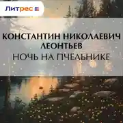 Постер книги Ночь на пчельнике