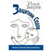 Постер книги Защитник Седов