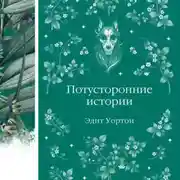 Постер книги Потусторонние истории