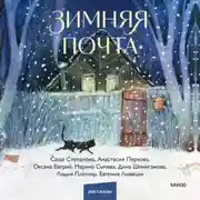 Постер книги Зимняя почта