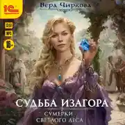 Постер книги Сумерки светлого леса