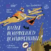 Постер книги Куда подевались волшебники? Версия с тифлокомментариями для незрячих и слабовидящих людей
