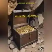 Постер книги Золото Амина