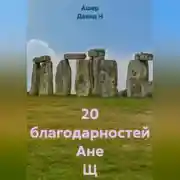 Постер книги 20 благодарностей Ане Щ