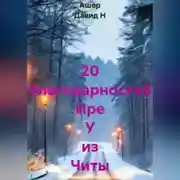 Постер книги 20 благодарностей Ире У из Читы