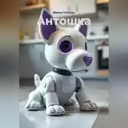 Постер книги Антошка